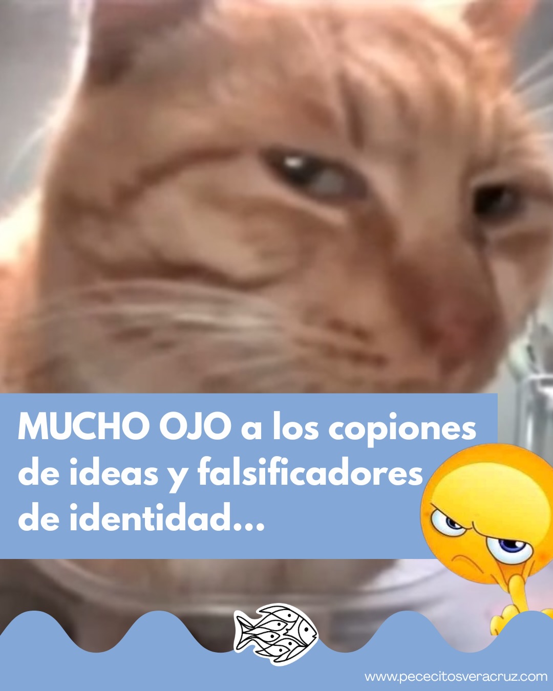 Imagen de Instagram